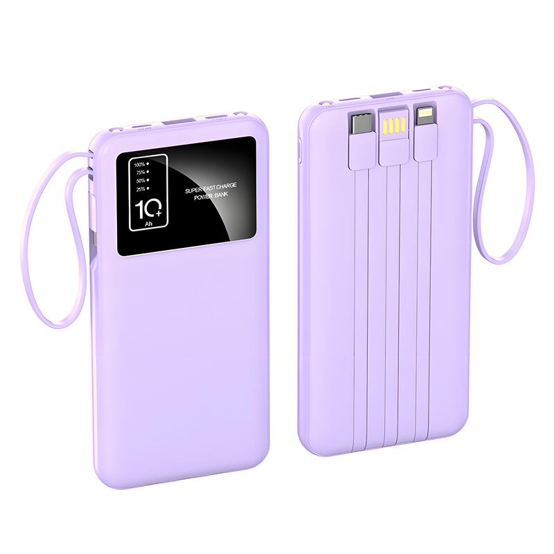 10000 mAh SmartLite 3-In-1 LED Power Bank 5