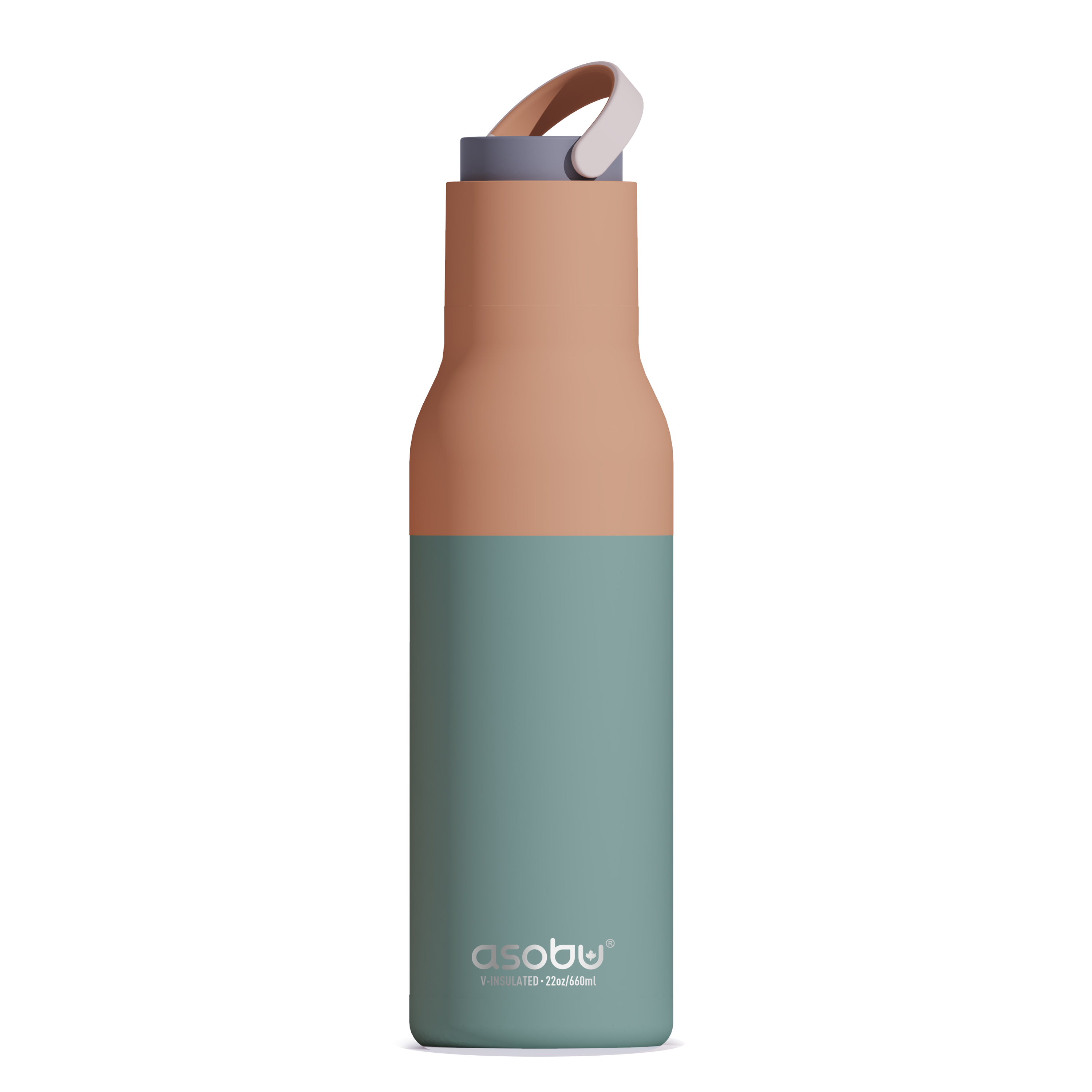 22 oz Asobu Metro Bottle with Removable Straw 11