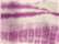 Women's French Terry Off-the-Shoulder Tie-Dyed Sweatshirt - W20173 3