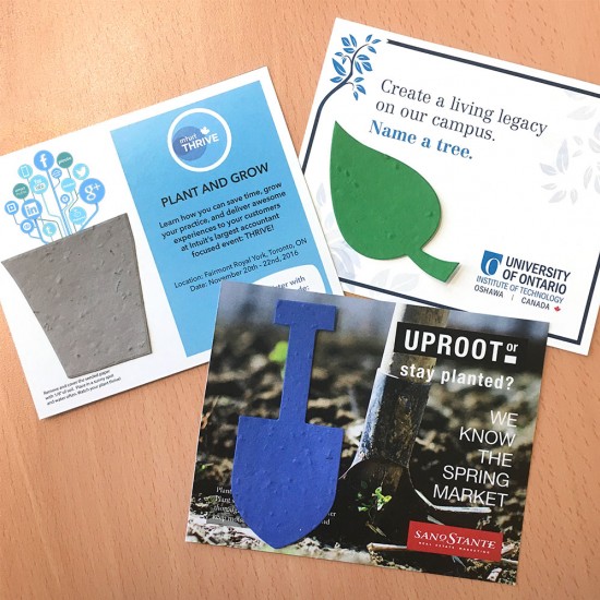 Single-Sided Small Eco Panel Card With Shape 7
