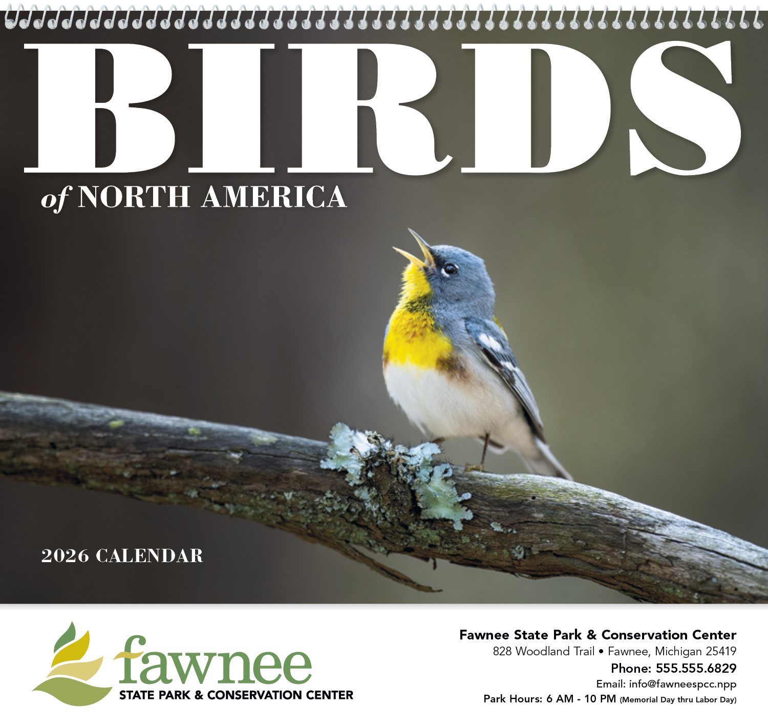 Good Value™ Birds of North America - Spiral Calendar 15