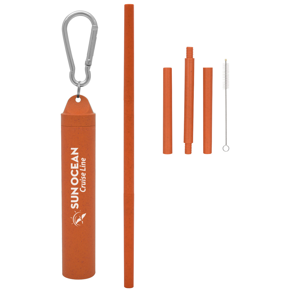 Buildable Wheat Straw Kit In Travel Case 12