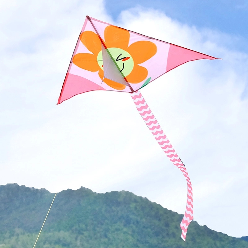 Xl Delta Jumbo Kite - 40" X 20" 18