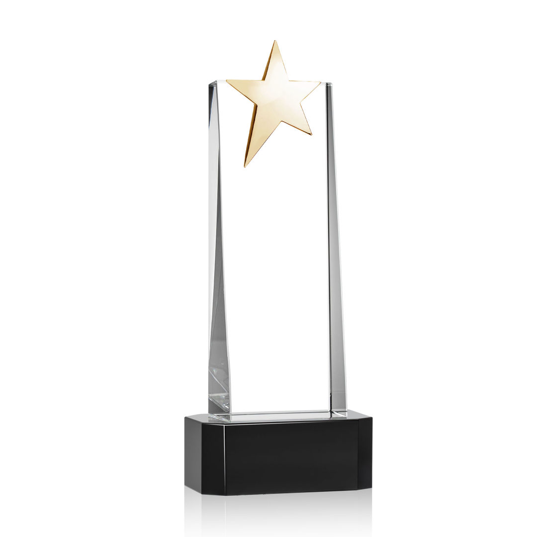 Fanshaw Gold Star VividPrint™ Award on Base - Black 4