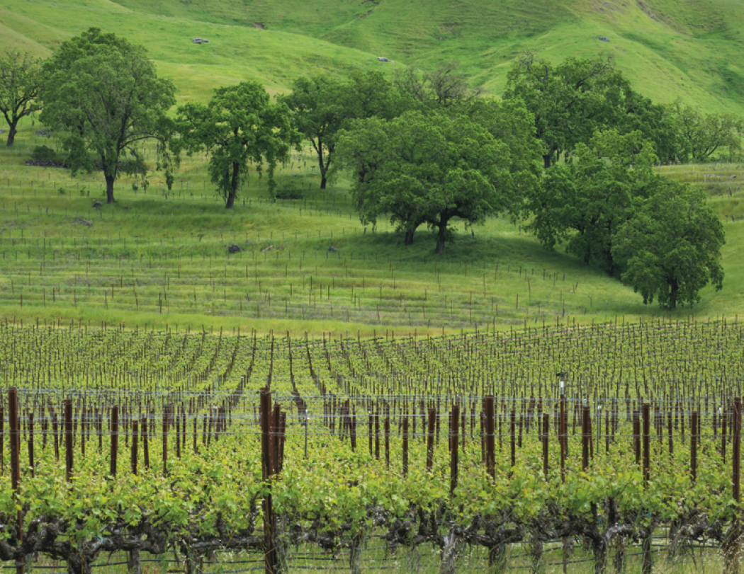 HotLine® Products California Appointment Calendar - Stapled 20