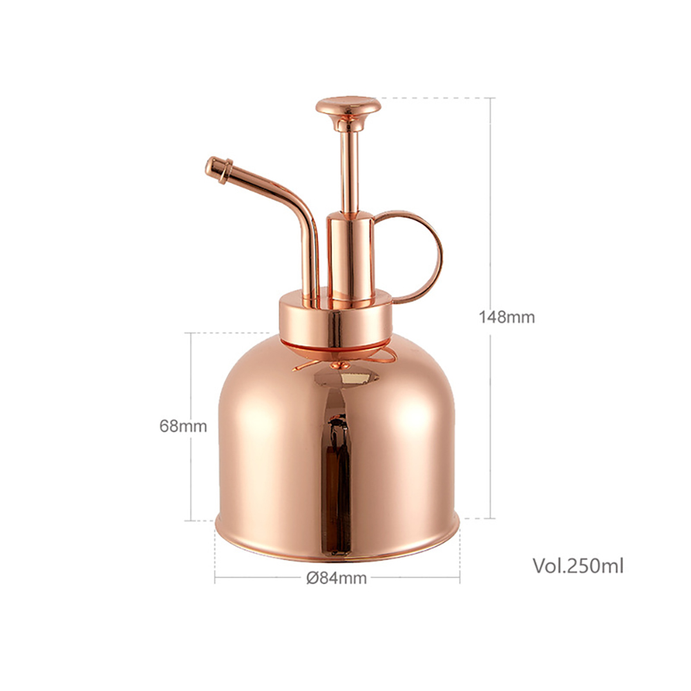 250ml stainless steel indoor spray bottle 1