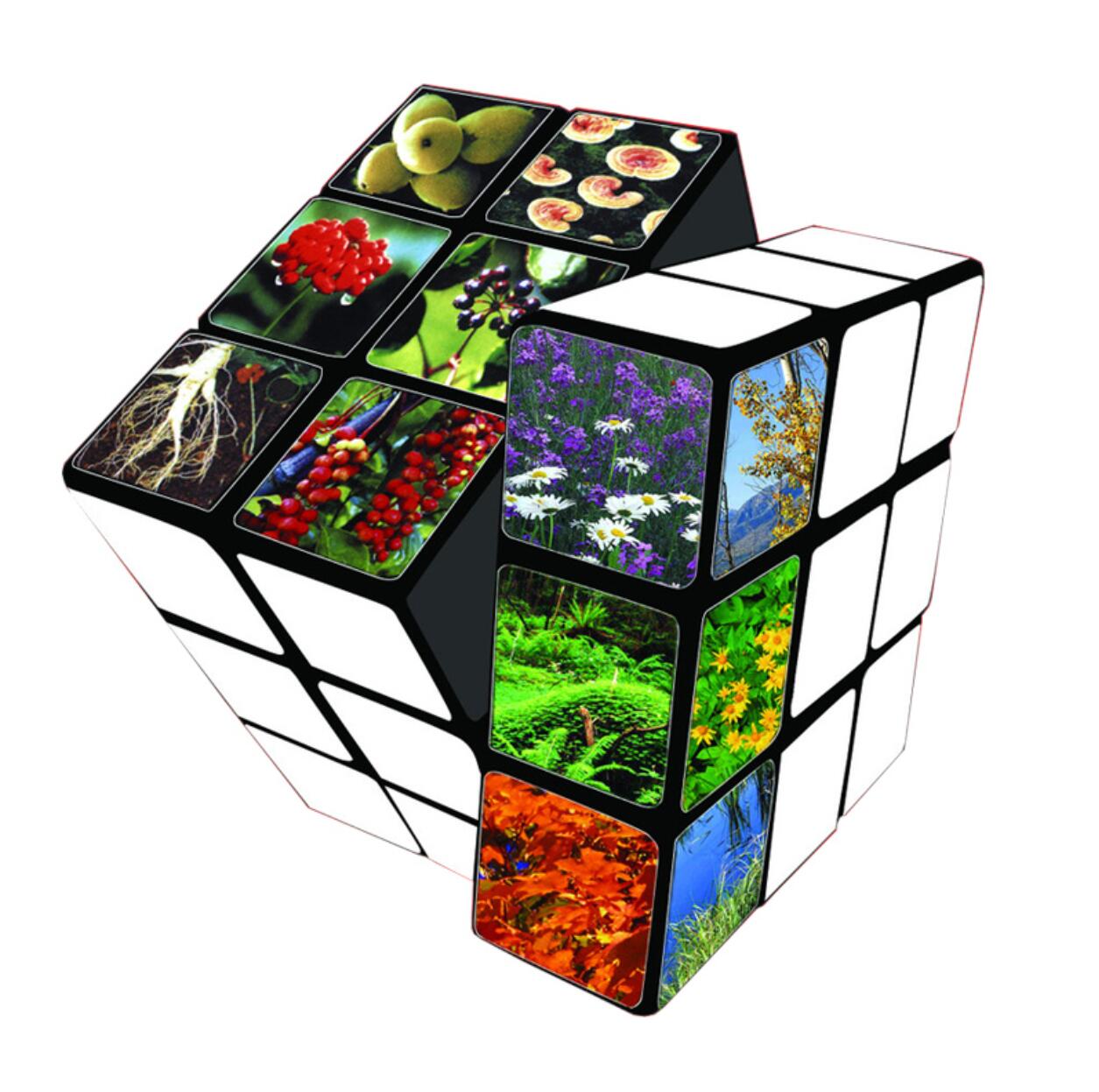 Puzzle Cubes 3