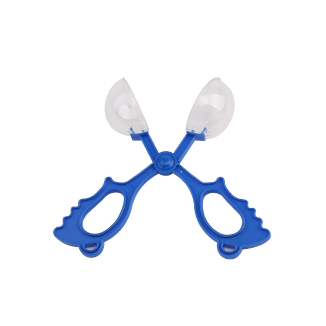 Butterfly Shaped Insects Clamp 3
