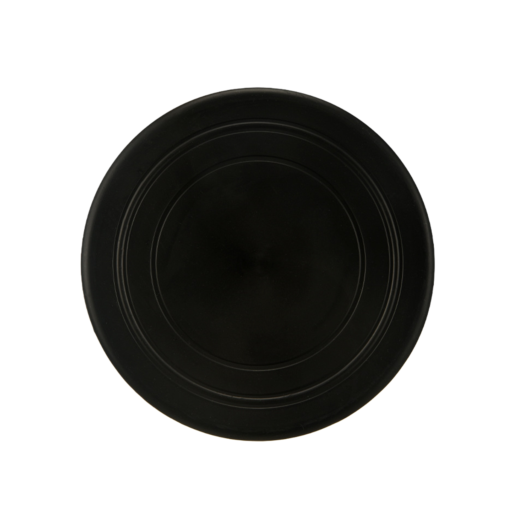 Pet Flying Disc Toy MOQ20 5