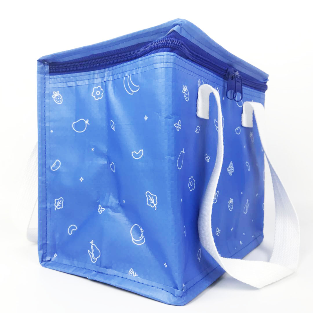 Custom Logo Fashion PP Woven Insulated Tote 12v Cooler Bag 4
