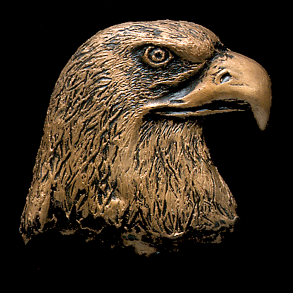 Eagle Head Bronze Accent 5