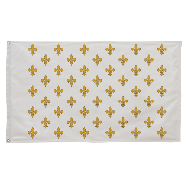 3' x 5' Historical Flags 37