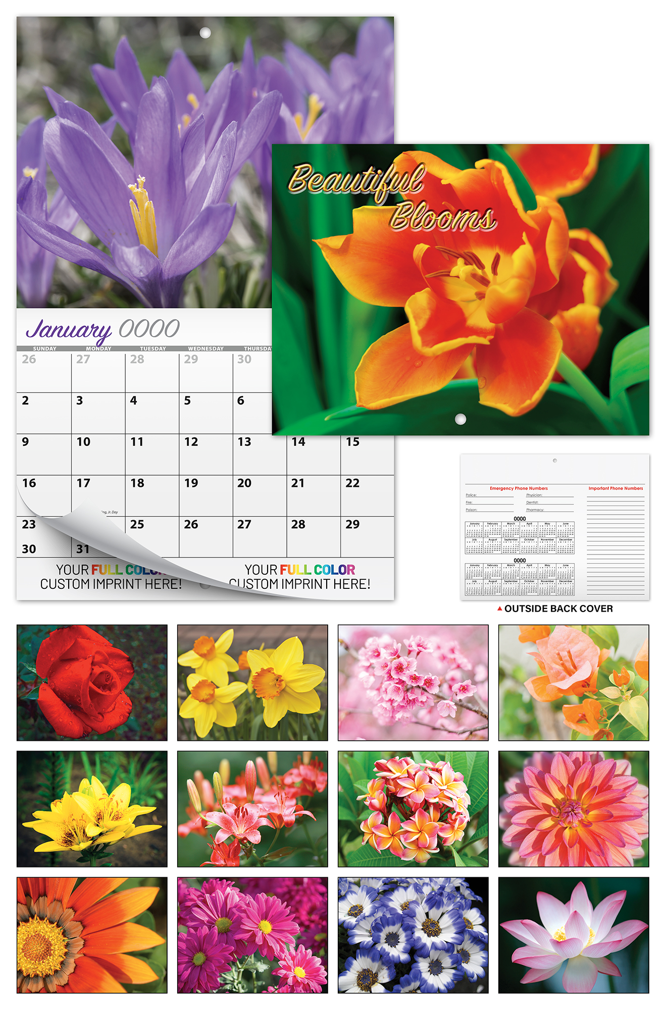 13 Month Custom Appointment Wall Calendar (High Gloss UV-Coated Cover)- BEAUTIFUL BLOOMS 2
