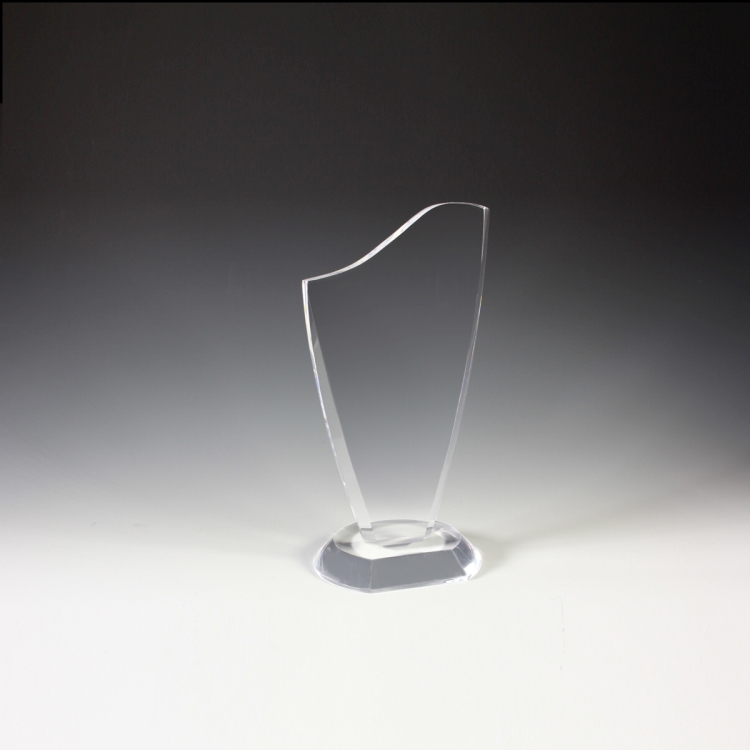 Progressive Award - 4-3/4" x 9-1/2" 11