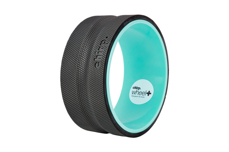 Chirp Wheel+ 10-inch Firm 1