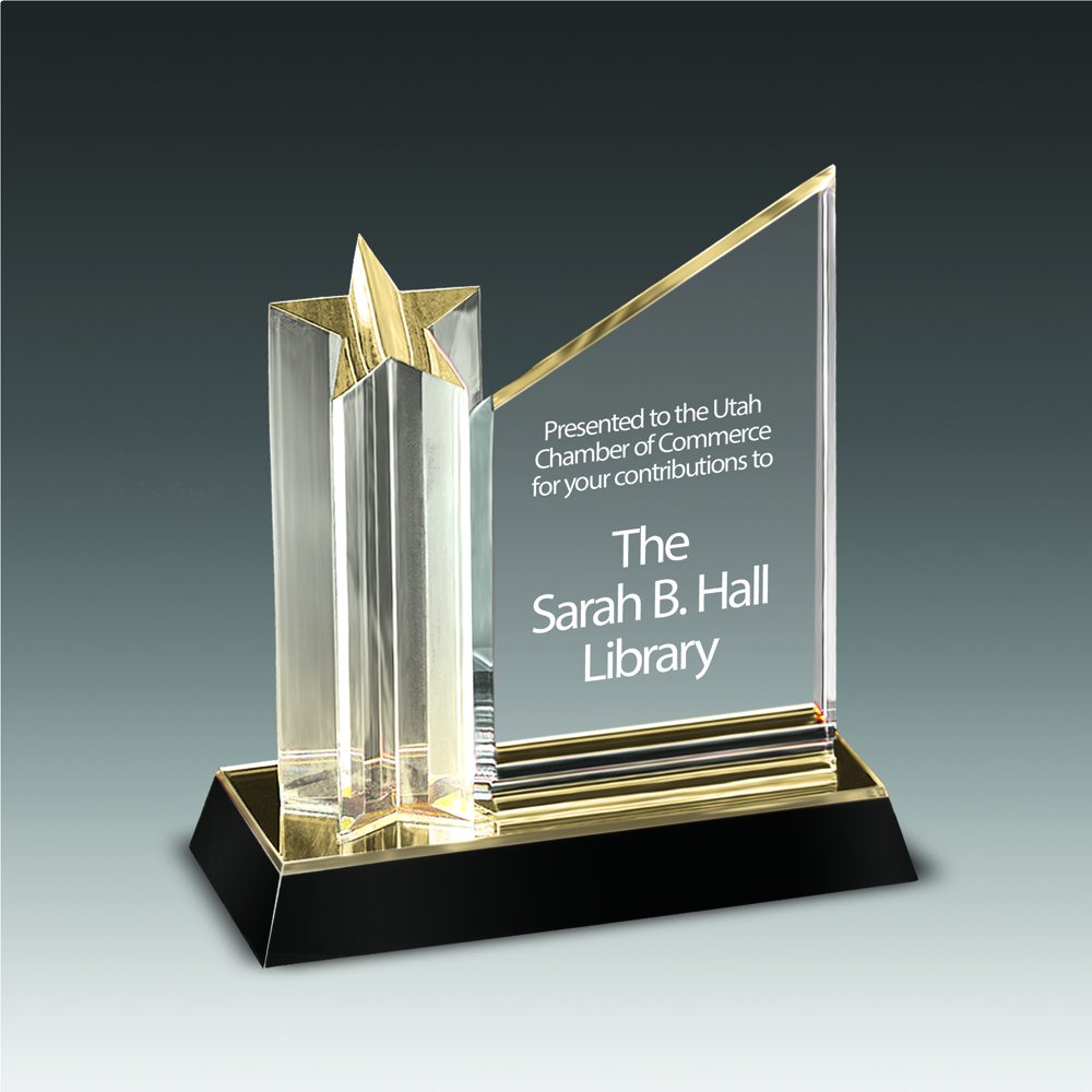 8" Star Achiever Award 2