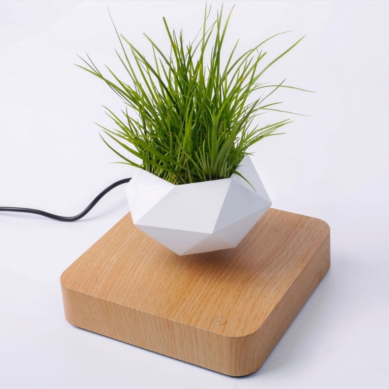 Magnetic Levitating Floating flower planter 9