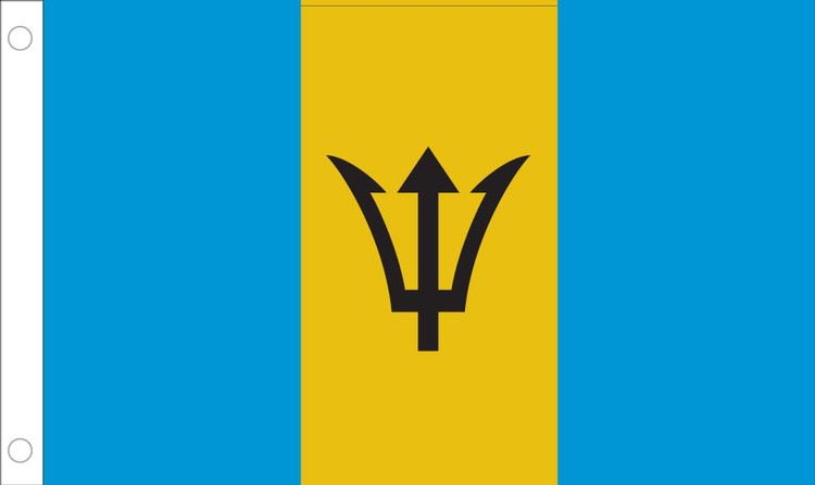 Barbados Flag - 2' x 3' - Nylon 2