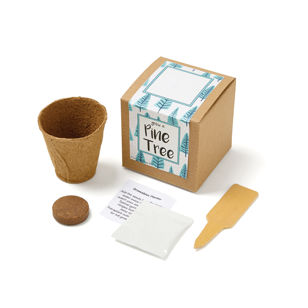 Pine Tree Growables Planter in Kraft Gift Box