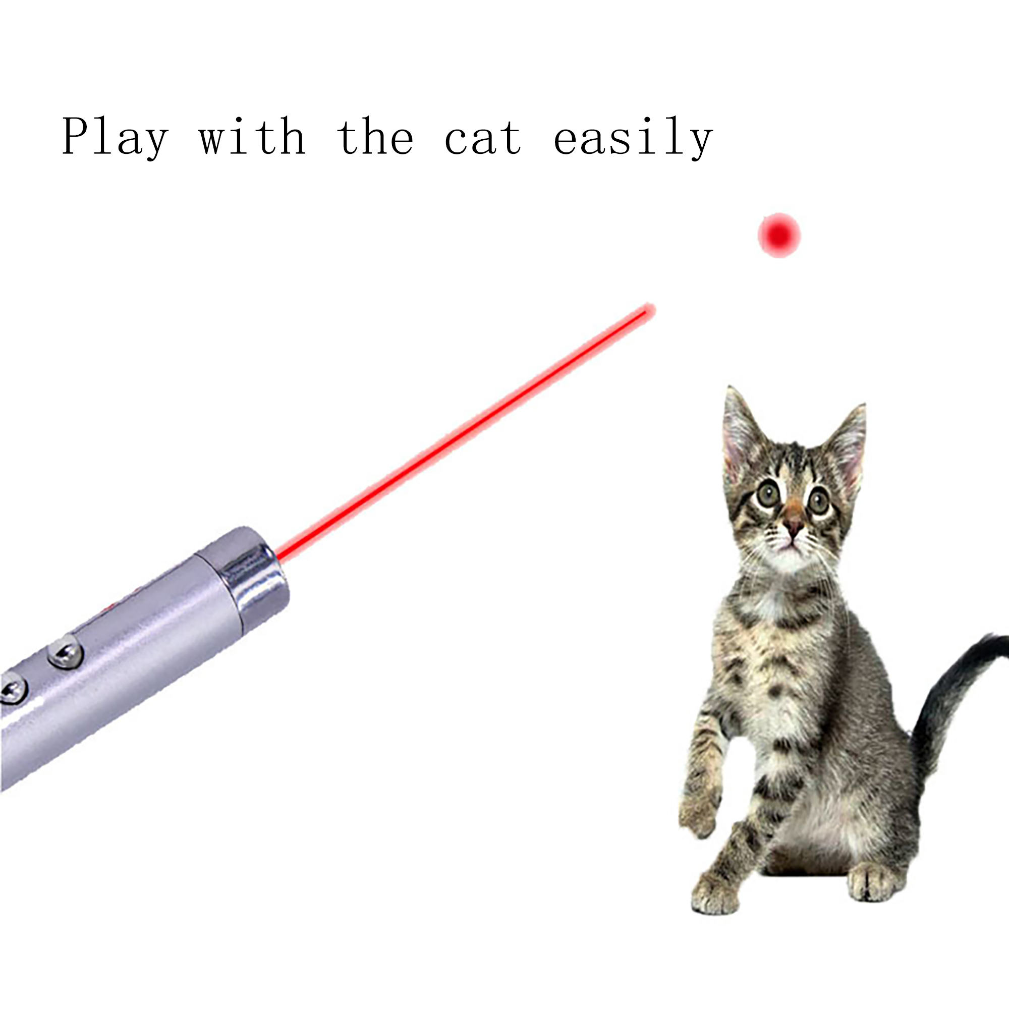 Laser Flashlight & Pointer Keychain 7