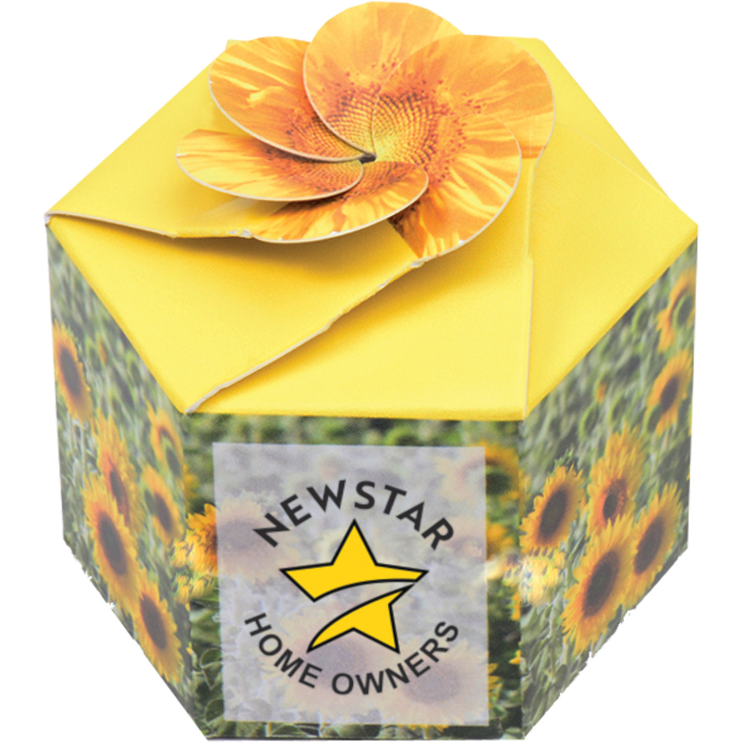 "Pop Up" Starter Kit 4