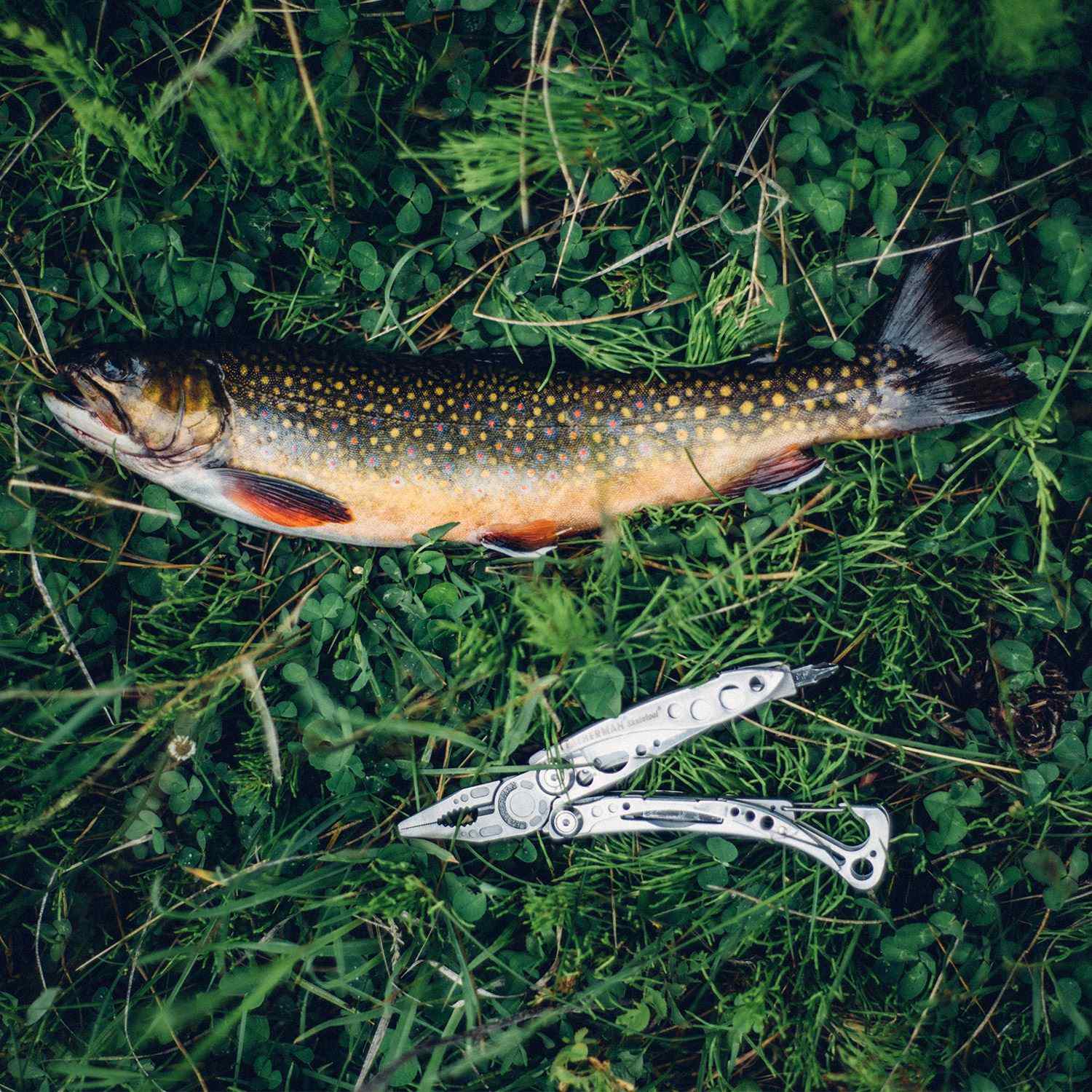 Leatherman® Skeletool 8