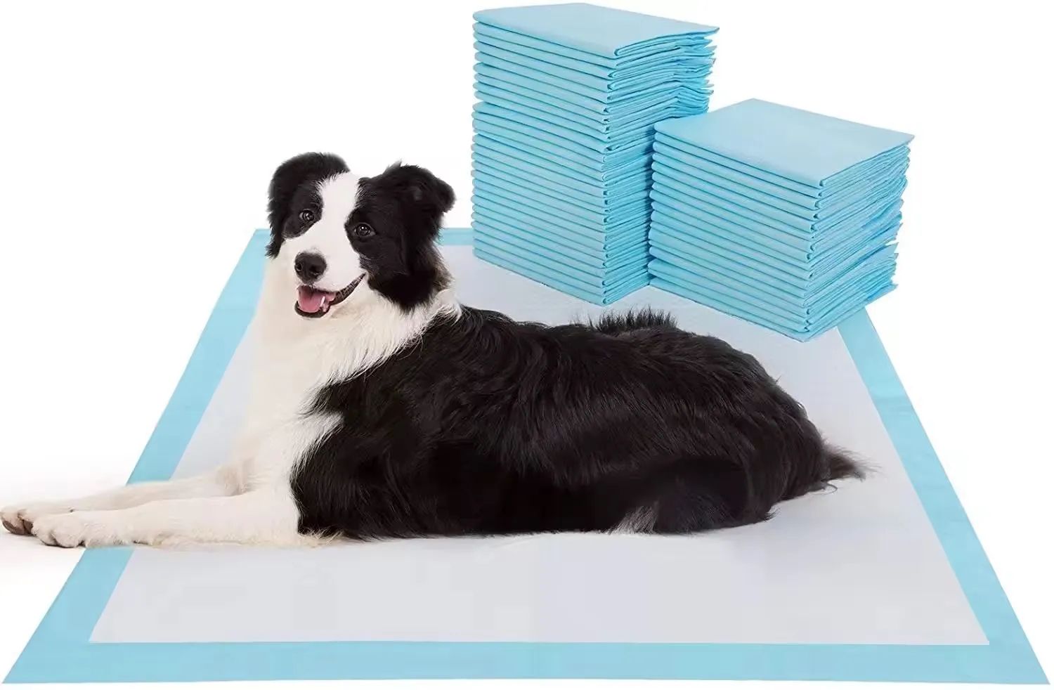 Dog and Puppy Pee Pads 6