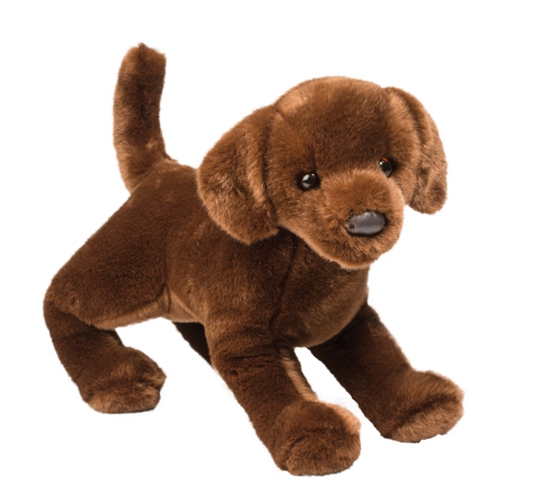 Cocoa Chocolate Lab 1