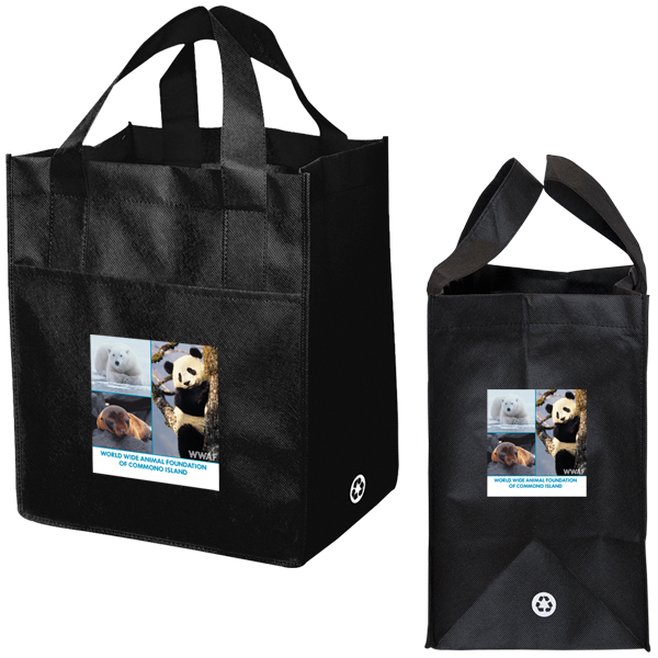 Non Woven Carry All Bag 6