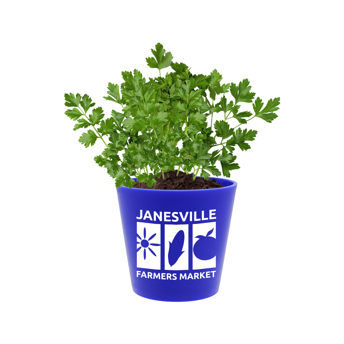 Recycled Promo Pot 3