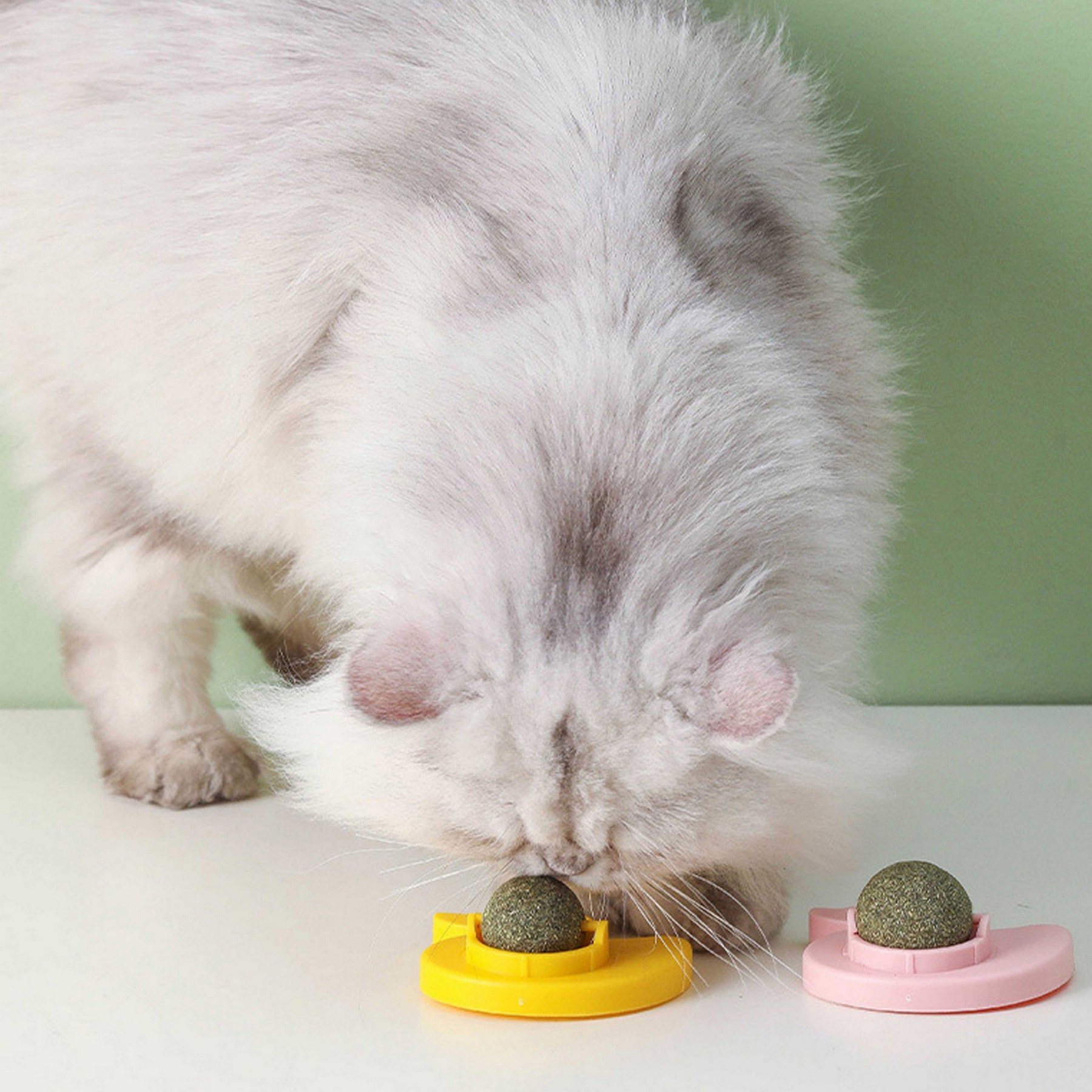 Cat Toy Catnip 5