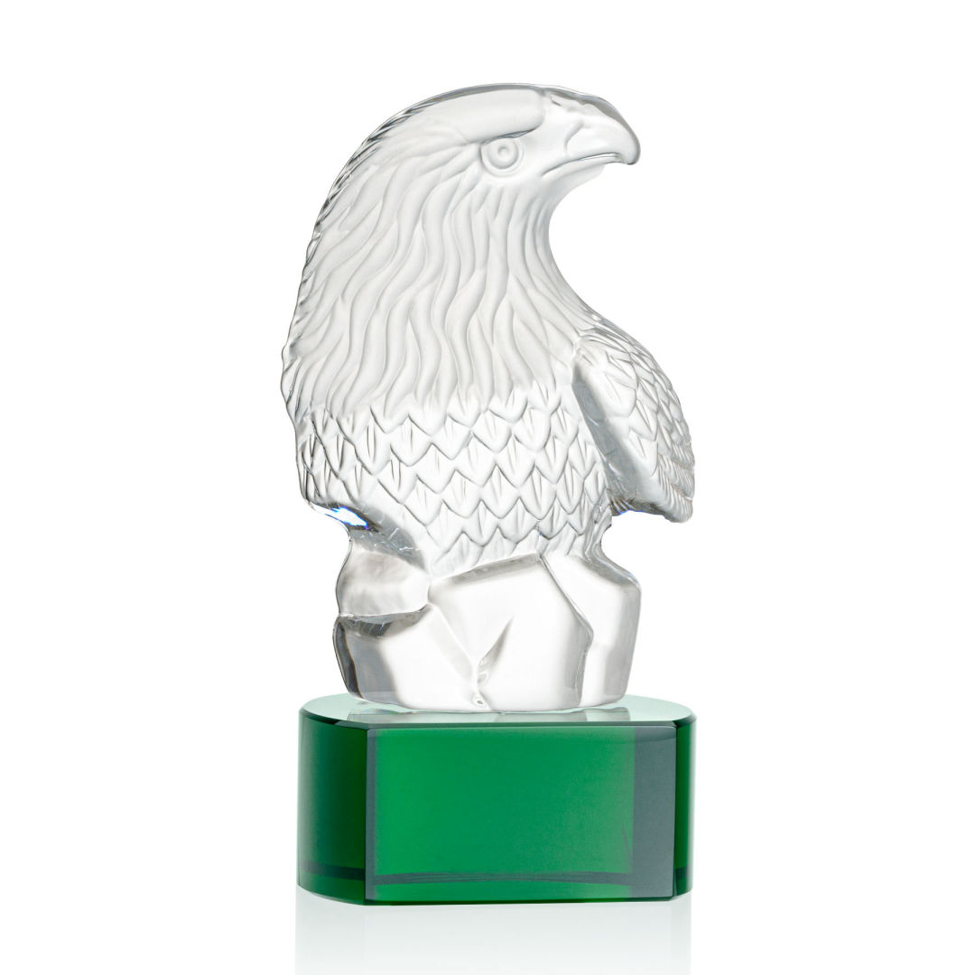 Fredricton Eagle Award on Paragon 13