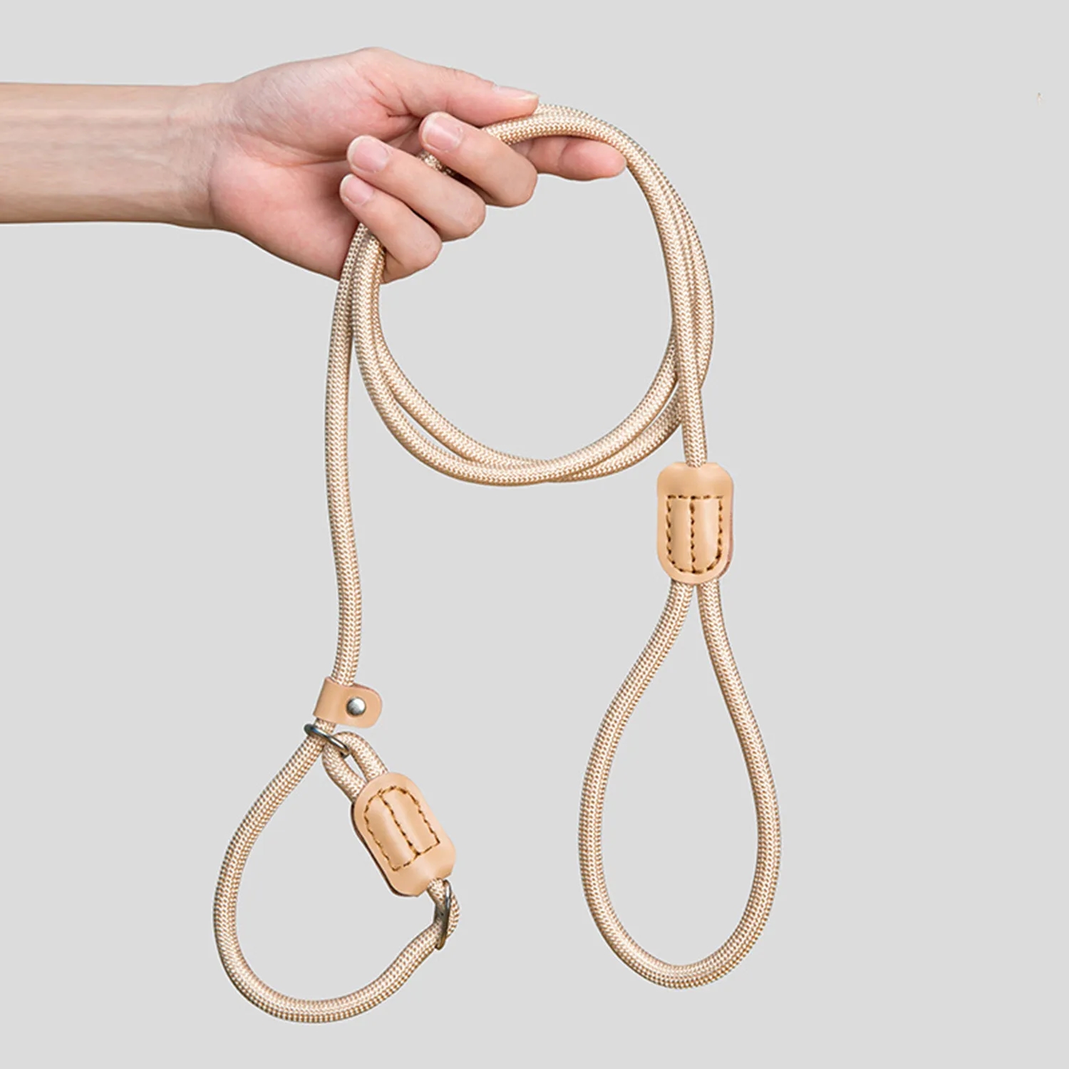 Automatic Telescopic Dog Walking Rope with 3-Meter Long 3