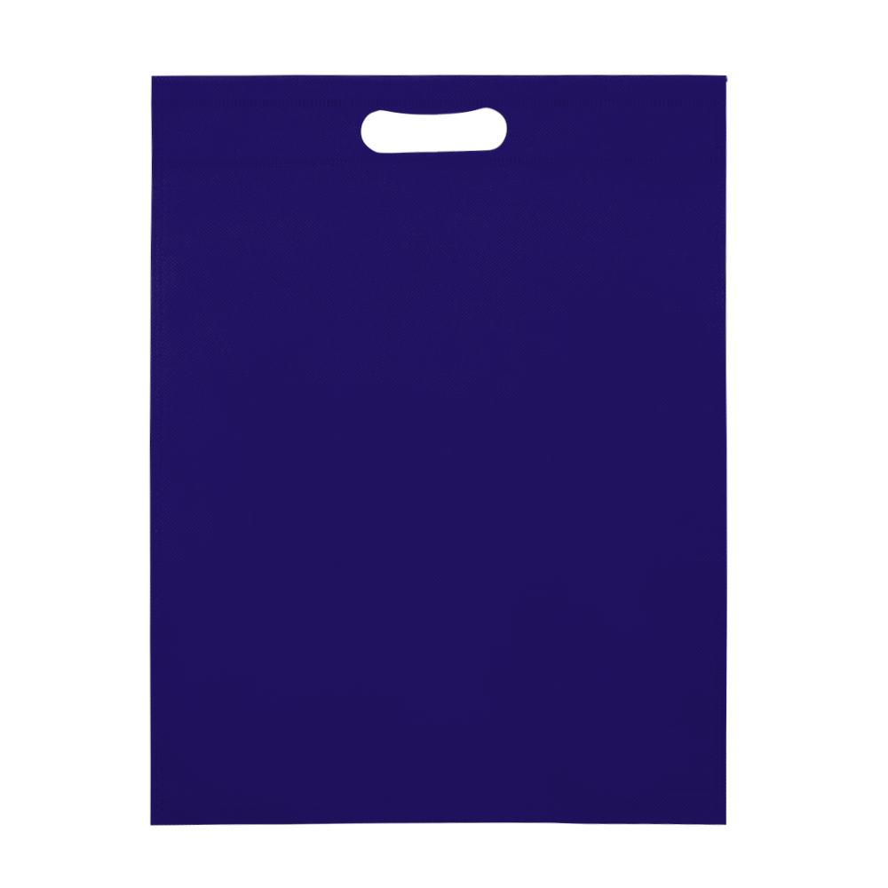 Multipurpose Non-Woven Tote 13