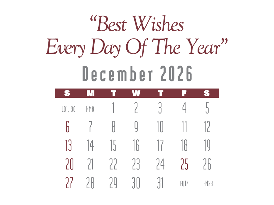 Triumph® Calendars Press-N-Stick Contemporary Calendar 17