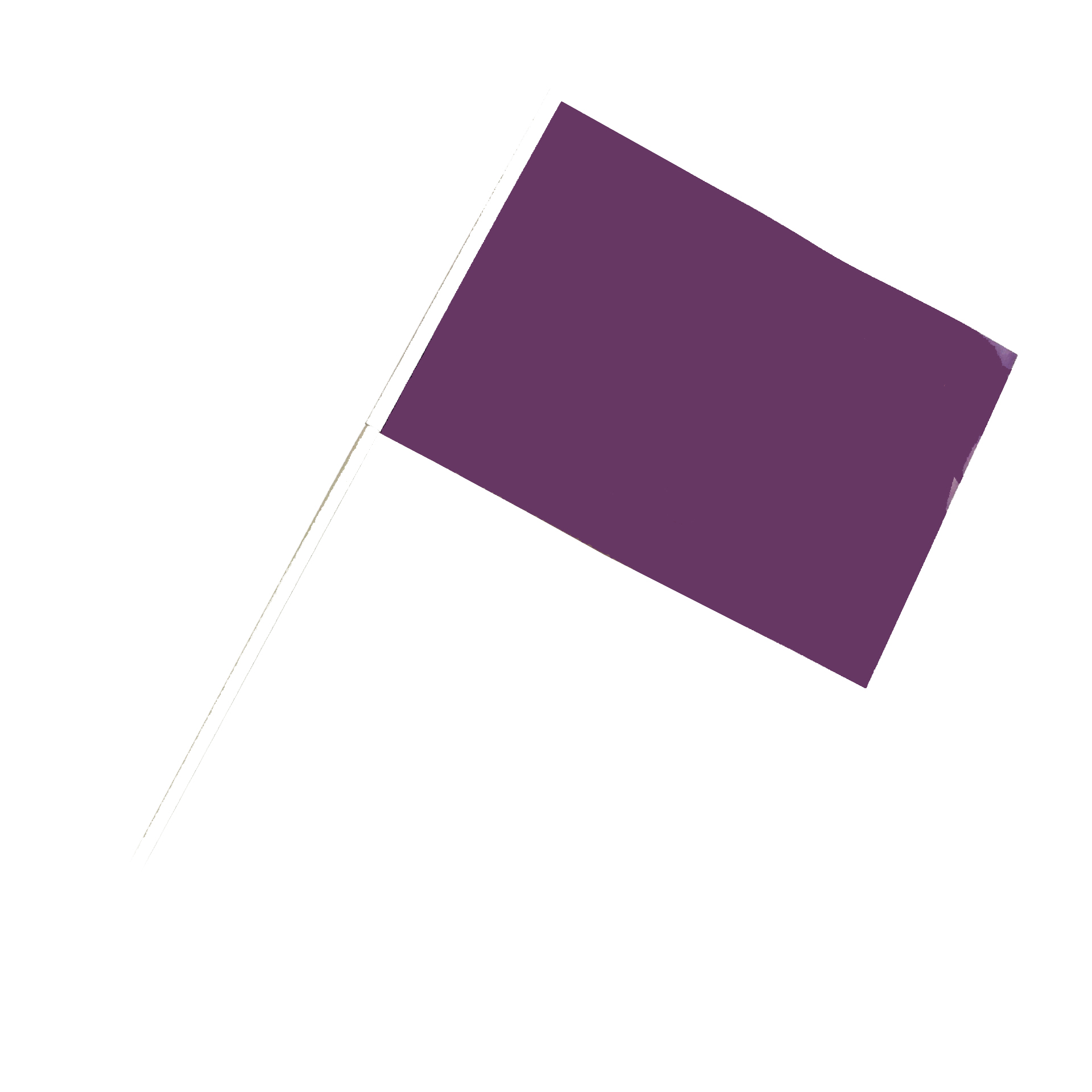 hand held flag 3