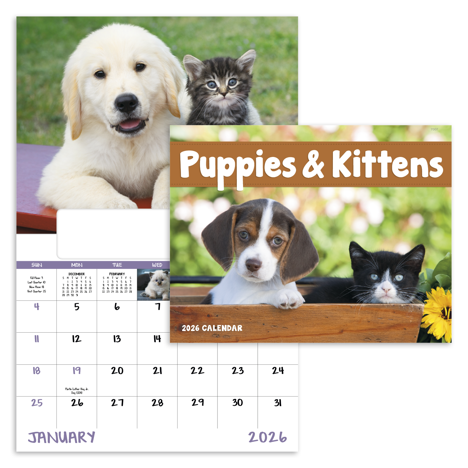 Good Value™ Puppies & Kittens - Window Calendar 24