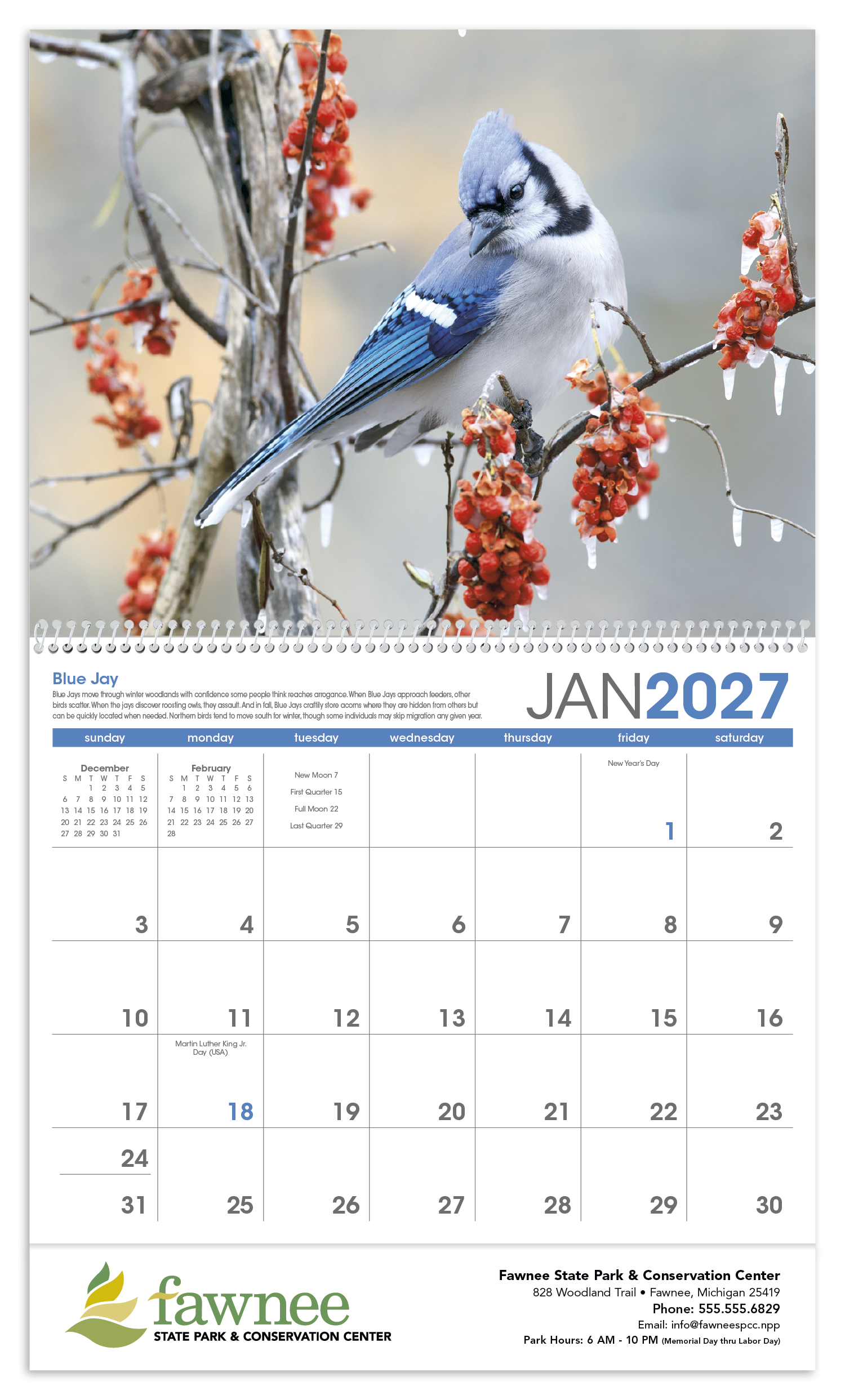 Triumph® Calendars Birds Calendar 88