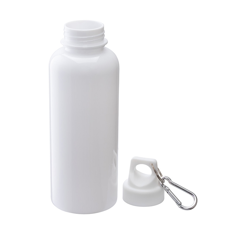 Brio 20 oz. PS Water Bottle w/ Carabiner 28