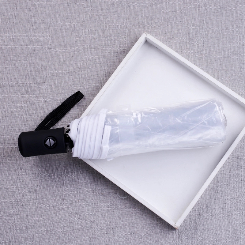 Clear Umbrella 11