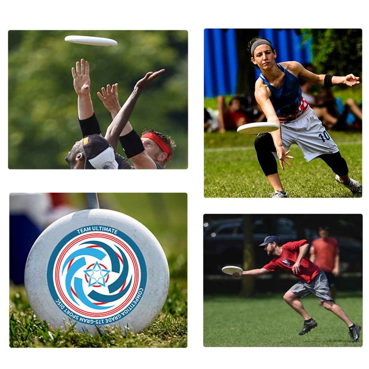 10 3/4" Professional Flyer Disc 3