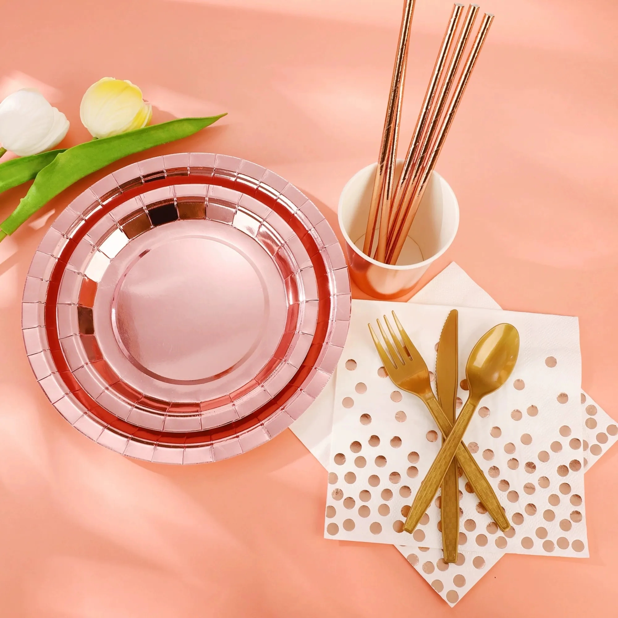 Recyclable Disposable Tableware Set of 8 Pieces 6