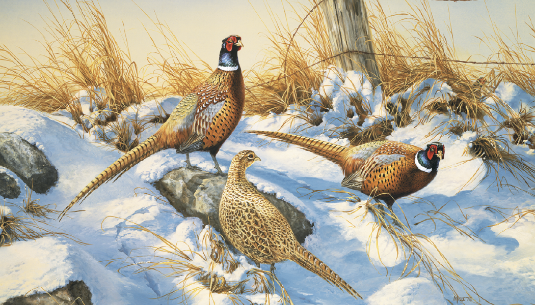 Triumph® Calendars Wildlife Art Calendar 41