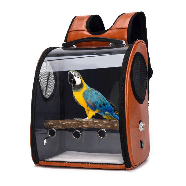 Clear Breathable Parrot Outdoor Backpack 6
