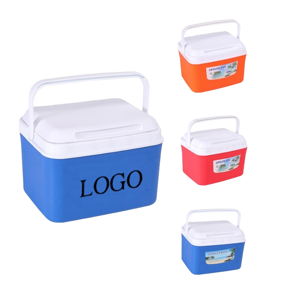 Portable Thermoelectric Cooler Mini Fridge 2