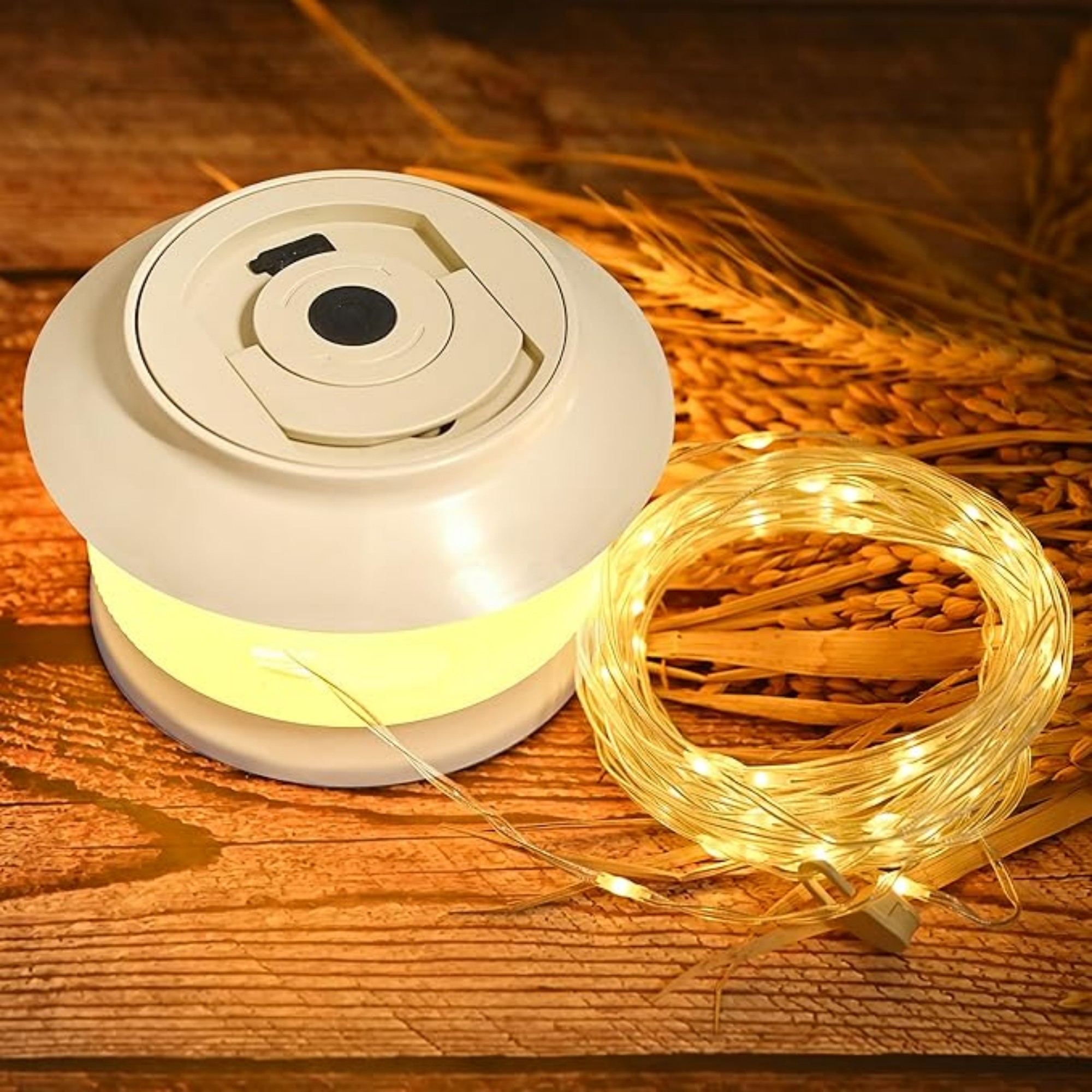 Retractable Waterproof String Lights 6