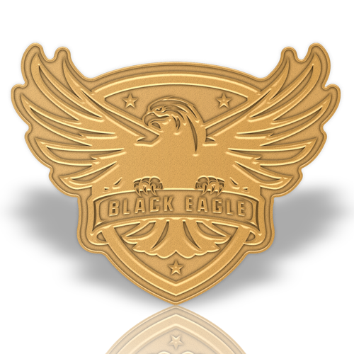 Die Struck Solid Zinc Alloy Lapel Pin 1