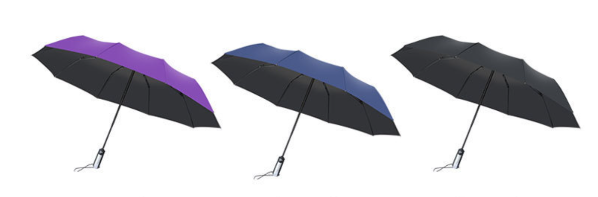 Ten Bone Automatic Umbrella 3