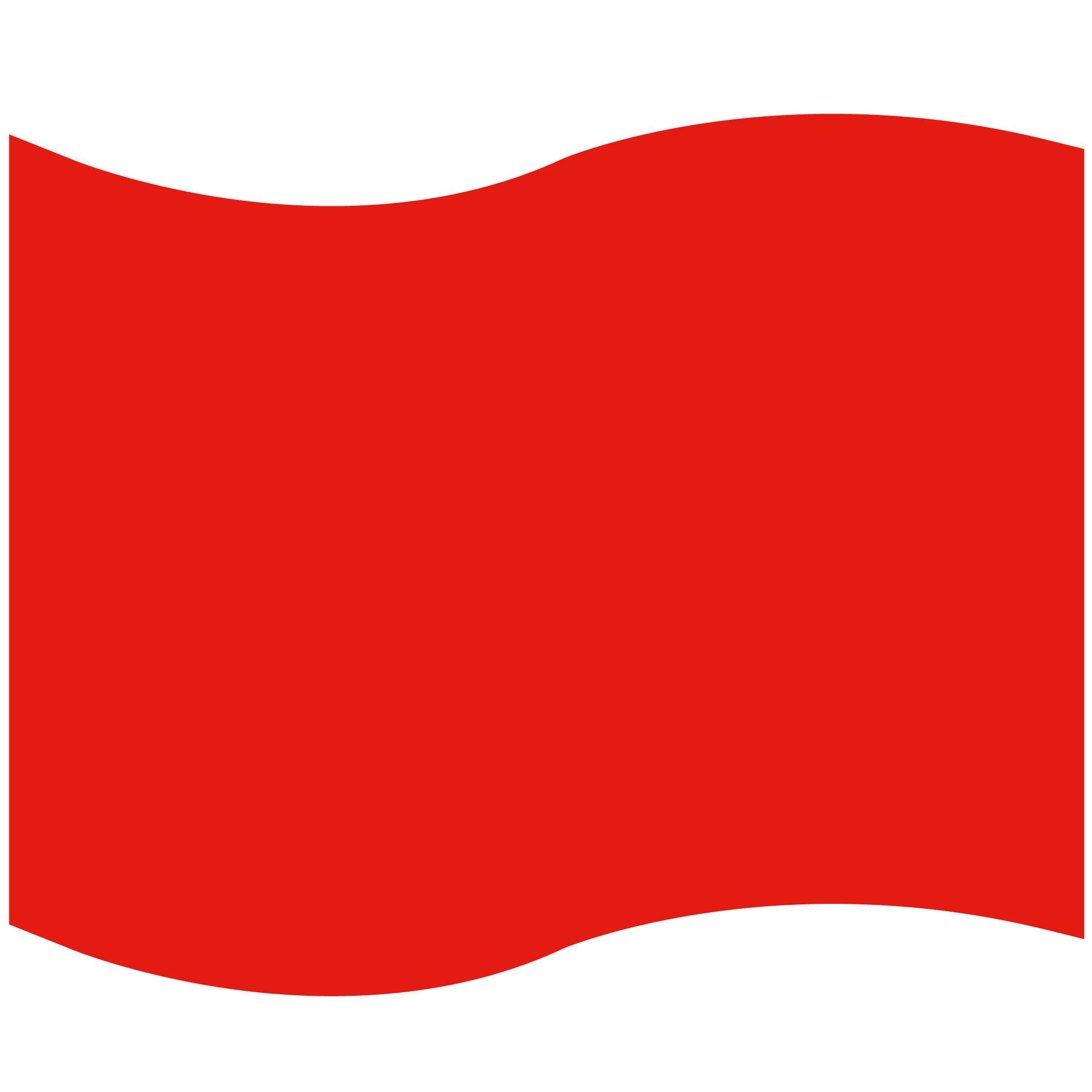 Foam Flag Mitt 5