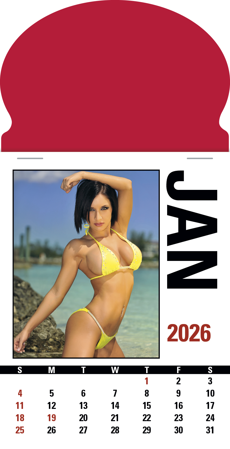Triumph® Calendars Press-N-Stick Sunshine Girls Calendar 3